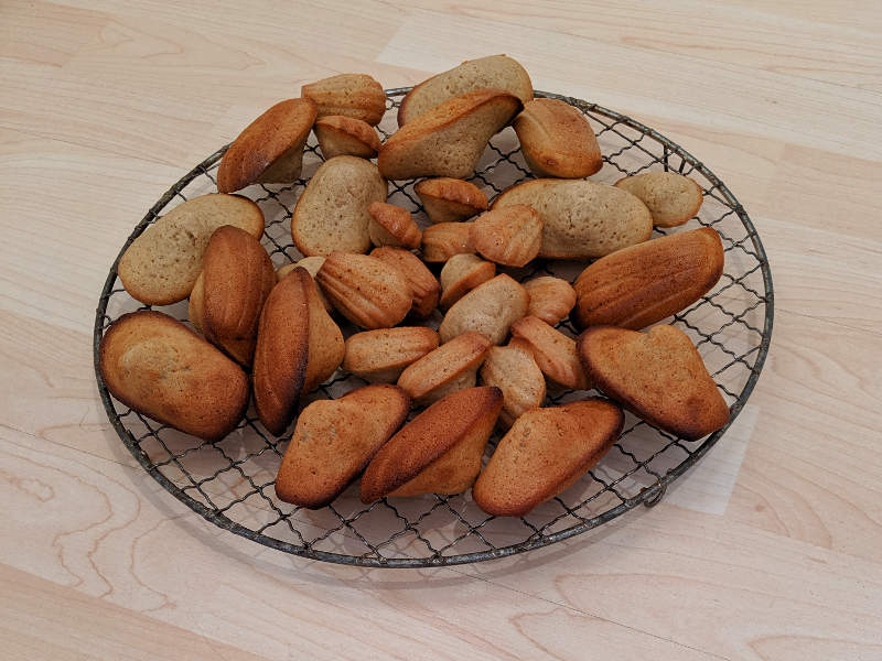 You are currently viewing Gewürz-Madeleines – Madeleines aux trois épices